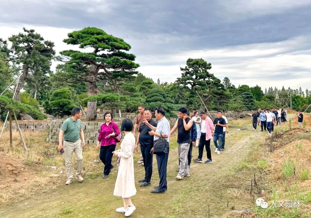 人文動態(tài)|陳勝洪董事長主持杭州市苗木商會會議，帶領全體會員考察2個精品苗圃